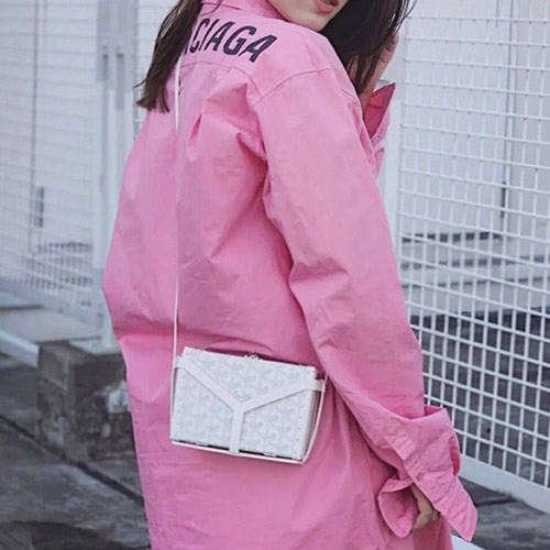 GD-1101 고야드 