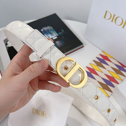 디올 신상 벨트 (3.0cm)  DR2307046