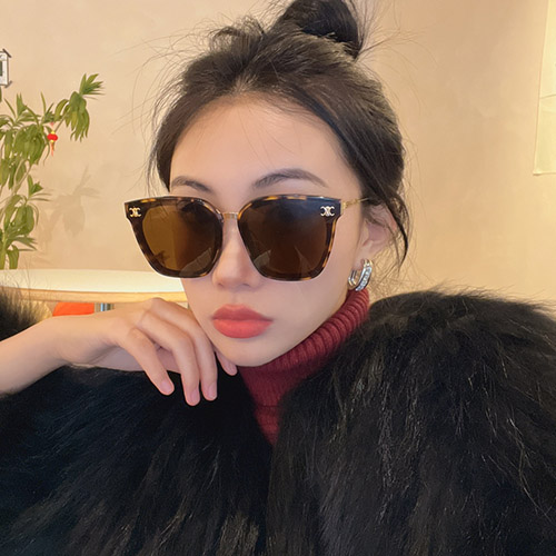 셀리느 신상 선글라스 CL2307085