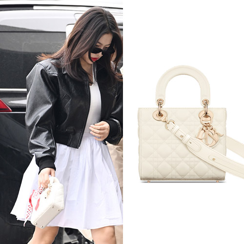 디올 ABC 레이디 스몰 백 M0538ONGE