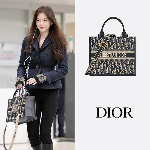 DIOR 디올 Dior Book Tote 스몰 백 M1325CZBB_M928 한소희