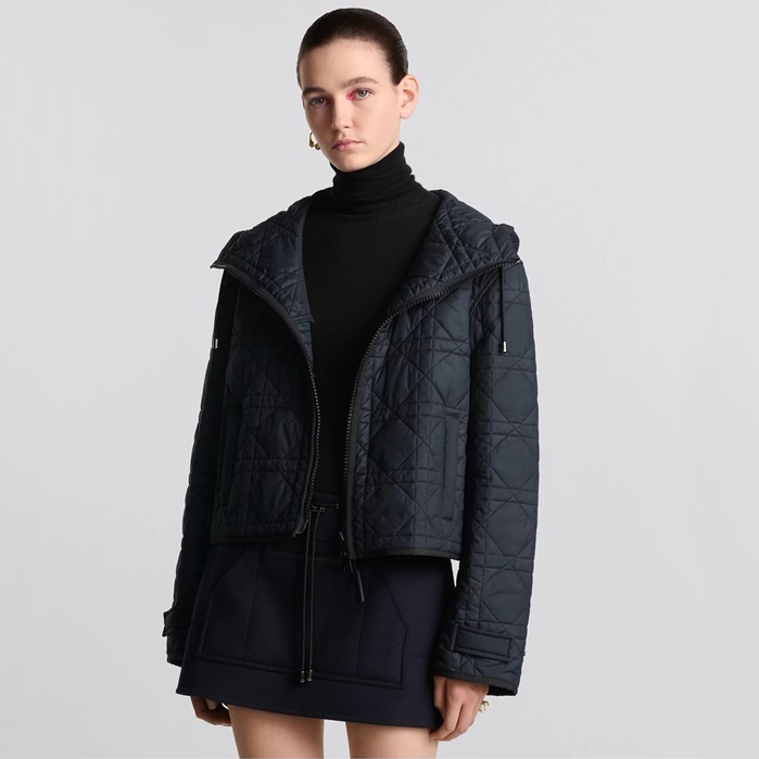 디올 여성 다운 패딩 - Dior Womens Down Padding - dic9848x